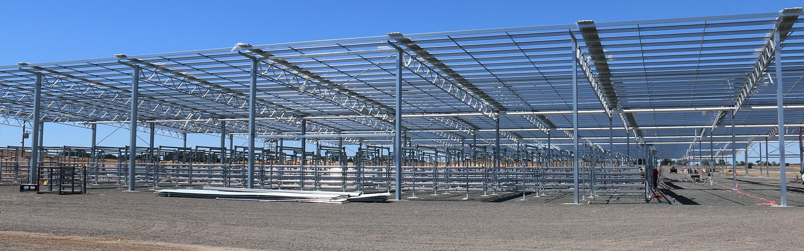 Saleyard demands quality steel