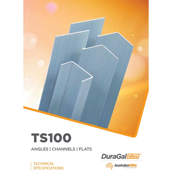 Technical Specification – TS100 DuraGal® Ultra