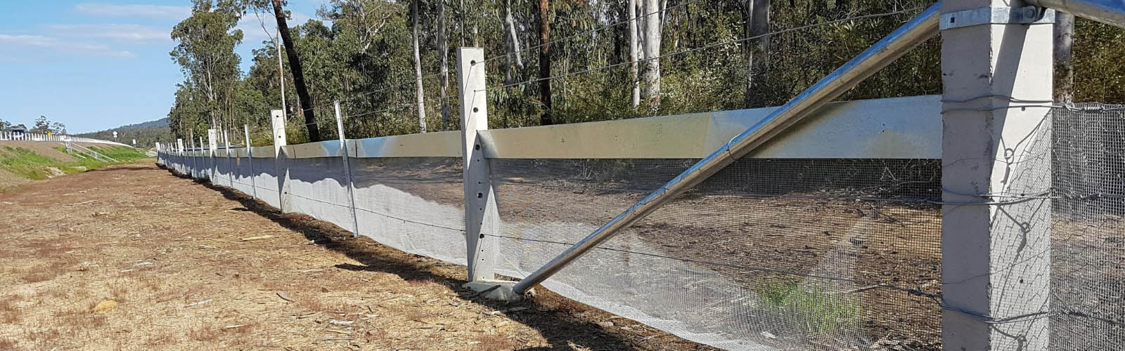 Wire fencing protects native frogs