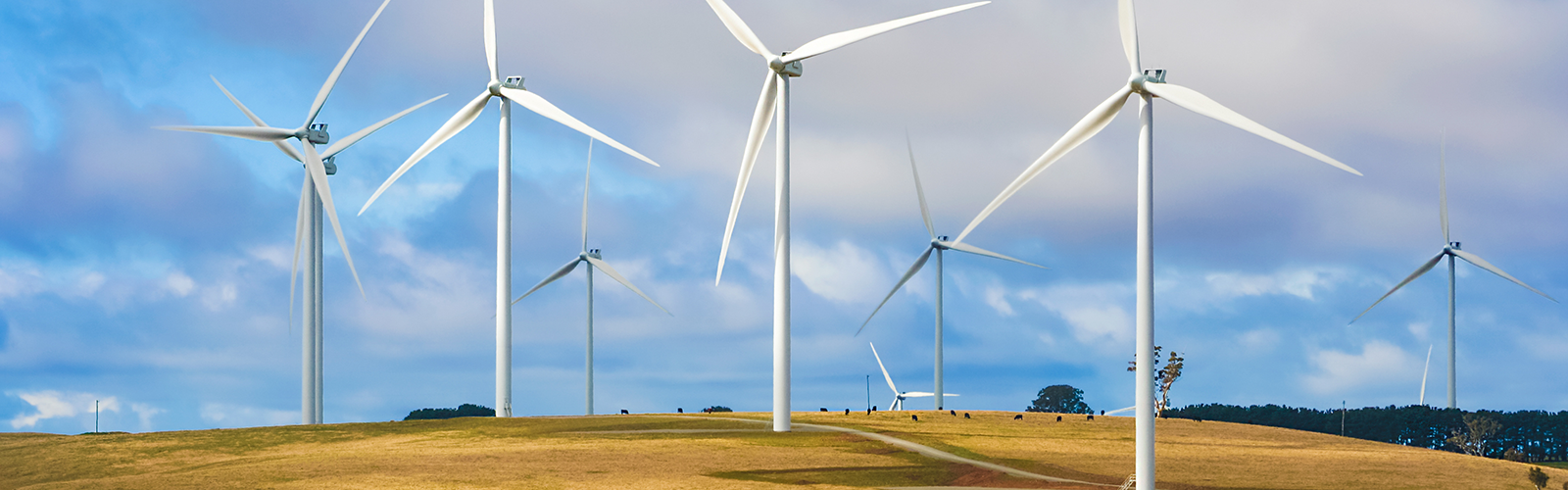Port Augusta Renewable Energy Park